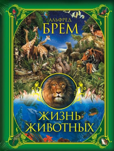 Слушайте бесплатные аудиокниги на русском языке | Audiobukva.ru Брэм Альфред - Жизнь животных