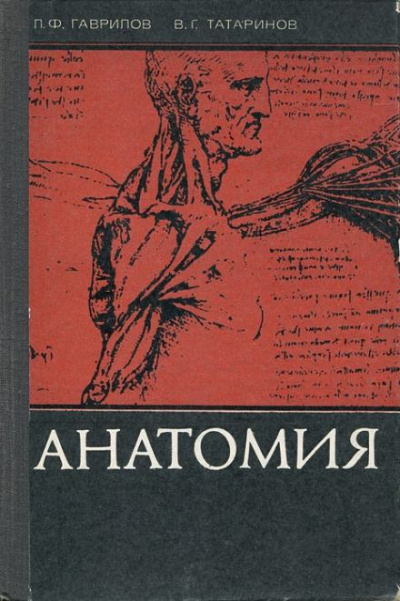 Слушайте бесплатные аудиокниги на русском языке | Audiobukva.ru Гаврилов Леопольд, Татаринов Василий - Анатомия