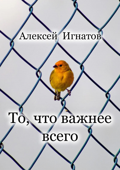Слушайте бесплатные аудиокниги на русском языке | Audiobukva.ru Игнатов Алексей - То, что важнее всего