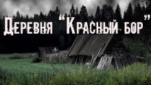 Слушайте бесплатные аудиокниги на русском языке | Audiobukva.ru Скоркина Юлия - Деревня «Красный бор»