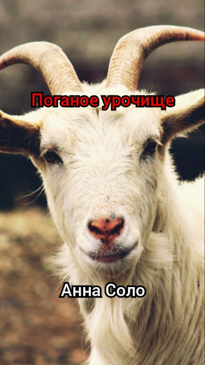 Слушайте бесплатные аудиокниги на русском языке | Audiobukva.ru Соло Анна - Поганое урочище