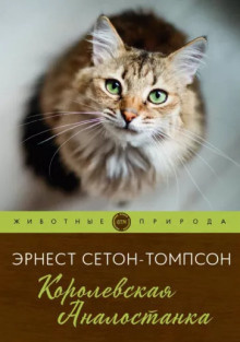 Слушайте бесплатные аудиокниги на русском языке | Audiobukva.ru Сетон-Томпсон Эрнест - Королевская Аналостанка