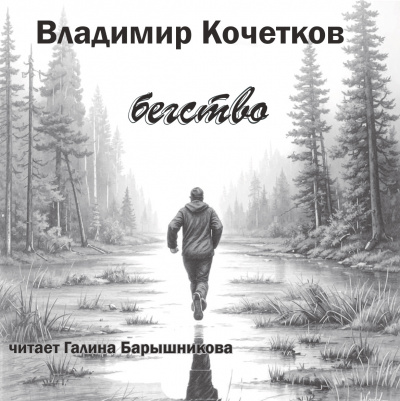 Слушайте бесплатные аудиокниги на русском языке | Audiobukva.ru Кочетков Владимир - Бегство