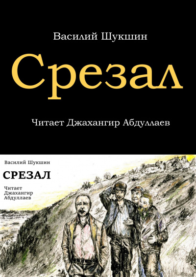 Слушайте бесплатные аудиокниги на русском языке | Audiobukva.ru Шукшин Василий - Срезал