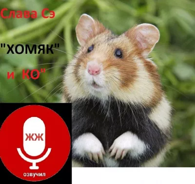 Слушайте бесплатные аудиокниги на русском языке | Audiobukva.ru Сэ Слава – Хомяк  и КО