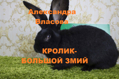 Слушайте бесплатные аудиокниги на русском языке | Audiobukva.ru | Власова Александра – Кролик- Большой Змий