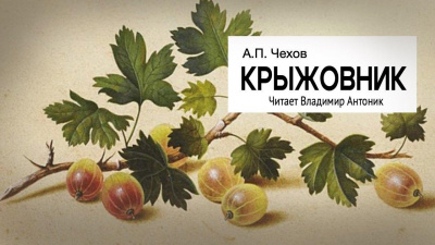 Слушайте бесплатные аудиокниги на русском языке | Audiobukva.ru | Чехов Антон – Крыжовник