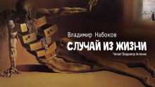 Слушайте бесплатные аудиокниги на русском языке | Audiobukva.ru Набоков Владимир – Случай из жизни