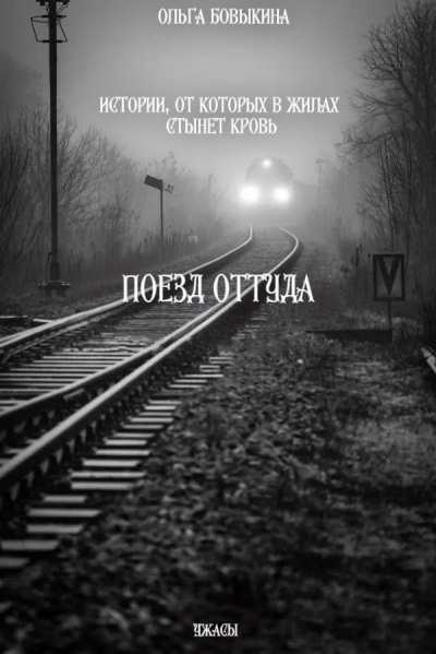 Слушайте бесплатные аудиокниги на русском языке | Audiobukva.ru Бовыкина Ольга – Поезд Оттуда