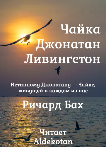 Слушайте бесплатные аудиокниги на русском языке | Audiobukva.ru Бах Ричард – Чайка по имени Джонатан Ливингстон