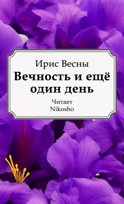 Слушайте бесплатные аудиокниги на русском языке | Audiobukva.ru Ирис Весны – Вечность и ещё один день