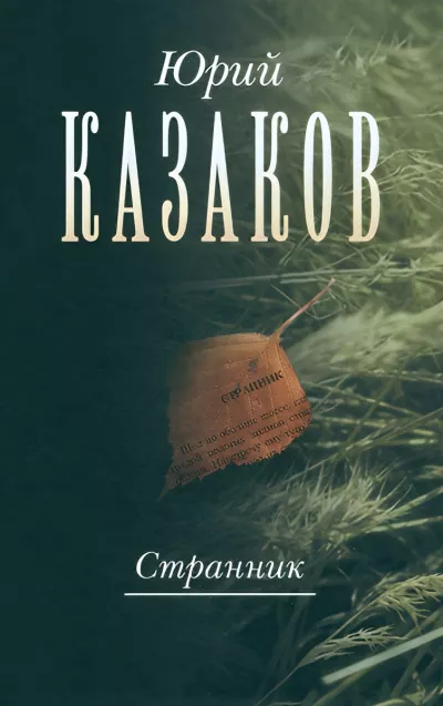 Слушайте бесплатные аудиокниги на русском языке | Audiobukva.ru Казаков Юрий – Странник