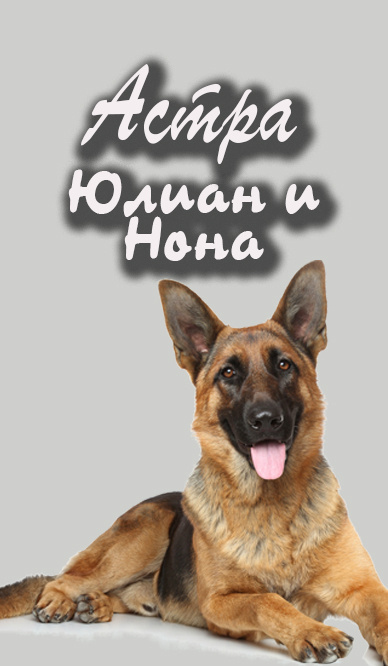 Слушайте бесплатные аудиокниги на русском языке | Audiobukva.ru Астра – Юлиан и Нона