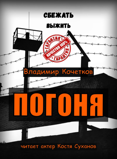 Слушайте бесплатные аудиокниги на русском языке | Audiobukva.ru | Кочетков Владимир – ПОГОНЯ