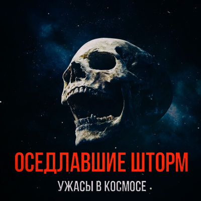 Слушайте бесплатные аудиокниги на русском языке | Audiobukva.ru Лугинин Виктор – Оседлавшие Шторм