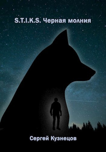 Слушайте бесплатные аудиокниги на русском языке | Audiobukva.ru Кузнецов Сергей – S-T-I-K-S. Чёрная Молния
