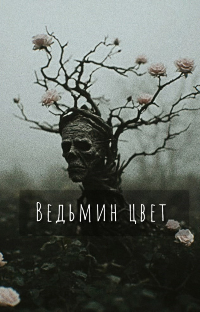 Слушайте бесплатные аудиокниги на русском языке | Audiobukva.ru Шитова Екатерина – Ведьмин цвет